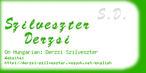 szilveszter derzsi business card